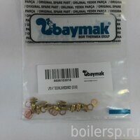 Комплект инжекторов для сжиженного газа 11х0,80 (поштучно арт. 6306101018)